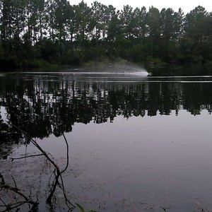 Meet your Posher, Frank